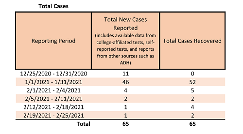 20210226- 2 Total Cases